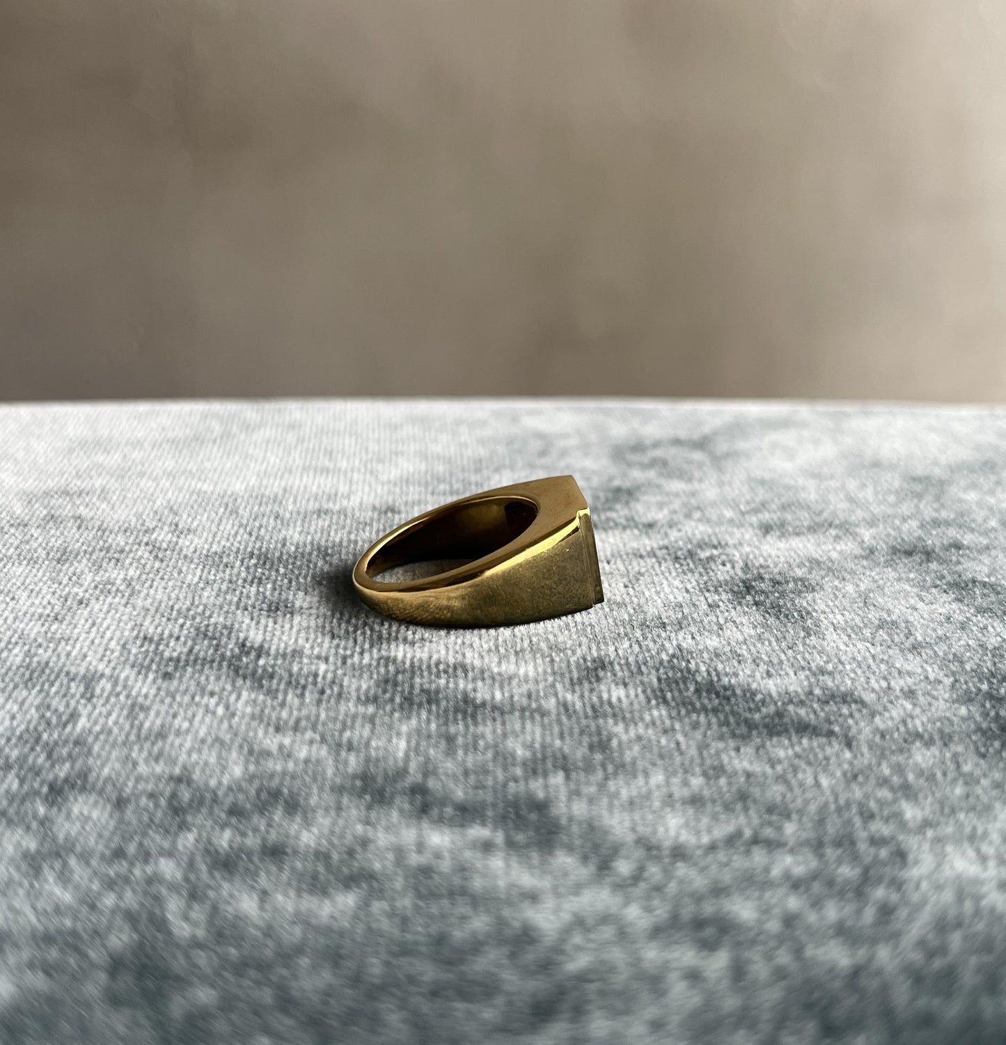R.ALAGAN - SIGNET RING RED AGATE